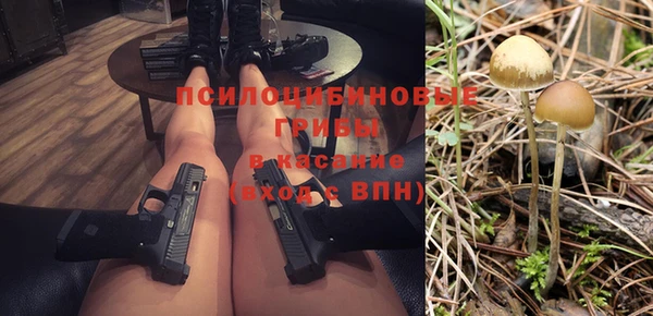 прущие грибы Нефтегорск