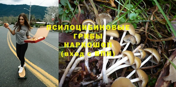 прущие грибы Нефтегорск