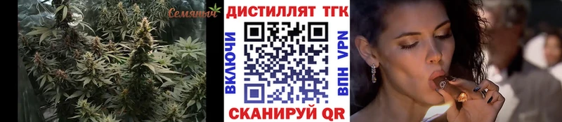 как найти закладки  Бийск  Дистиллят ТГК THC oil 
