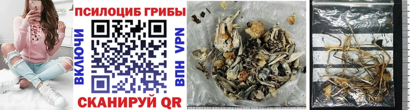 Галлюциногенные грибы Magic Shrooms  ОМГ ОМГ сайт  Бийск 