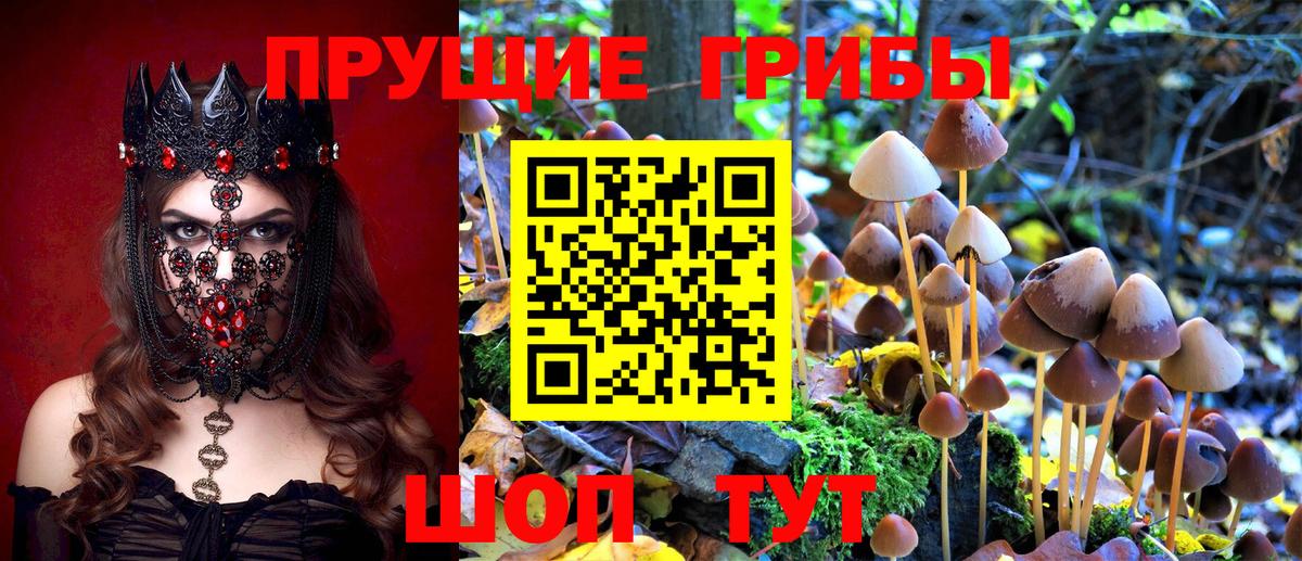 Кетамин  МЕФ  Вход с VPN  МДМА  ГАШИШ  Меф  Бийск  А ПВП 