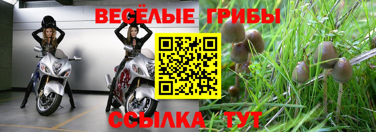 НБОМе  А ПВП СОЛЬ кристаллы  Cocaine  АМФЕТАМИН   Вход с VPN  Бийск  ГАШИШ  Меф   Каннабис 