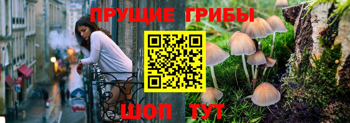 Псилоцибиновые грибы MAGIC MUSHROOMS Бийск