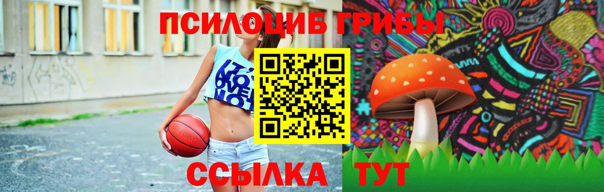 Галлюциногенные грибы мухоморы  наркошоп  Бийск  Галлюциногенные грибы ЛСД 