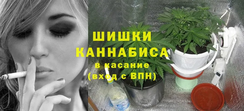 купить наркоту  Бийск  Марихуана White Widow 