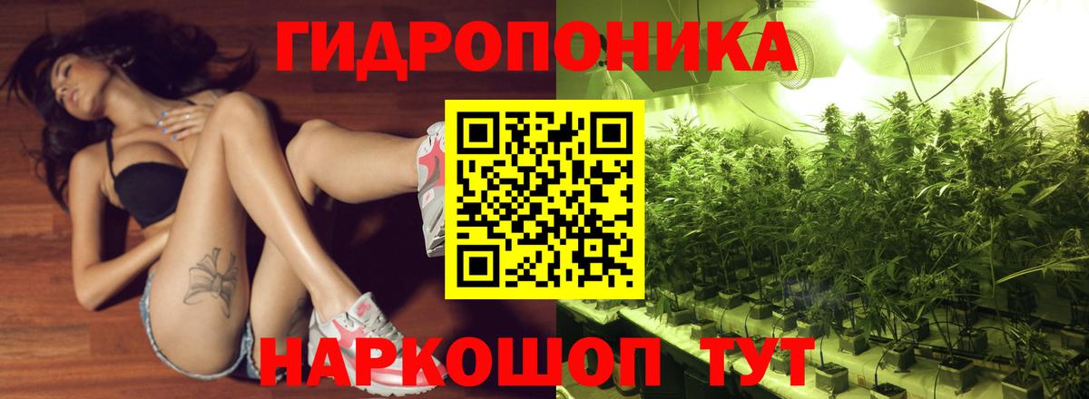 Конопля SATIVA & INDICA  Бийск  Шишки марихуана конопля  Марихуана VHQ 
